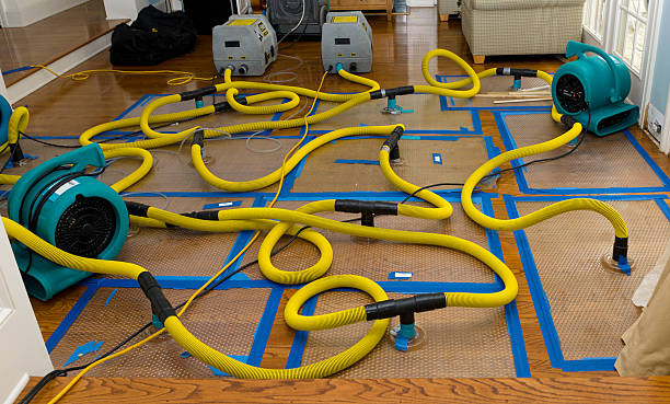 Professional Crawl Space Water Removal technician working in Millport, AL